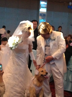 image-20130525220750.png