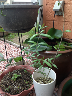 image-20130530104023.png