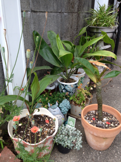 image-20130530104218.png
