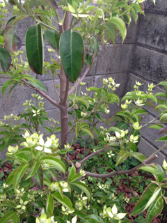 image-20130530104432.png